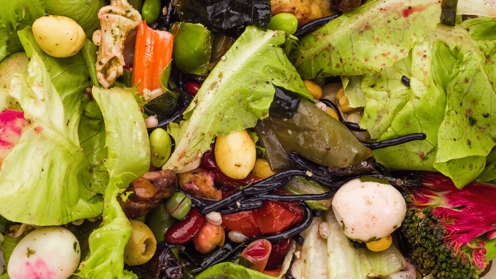 Food Waste in the Foodservice Industry